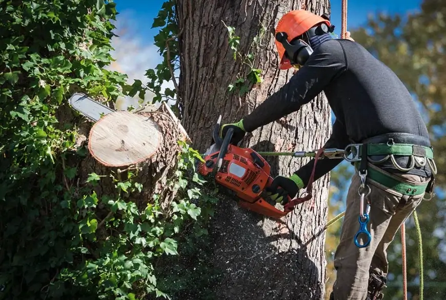 Arborist sectioning a large tree during a removal in Broken Arrow, OK